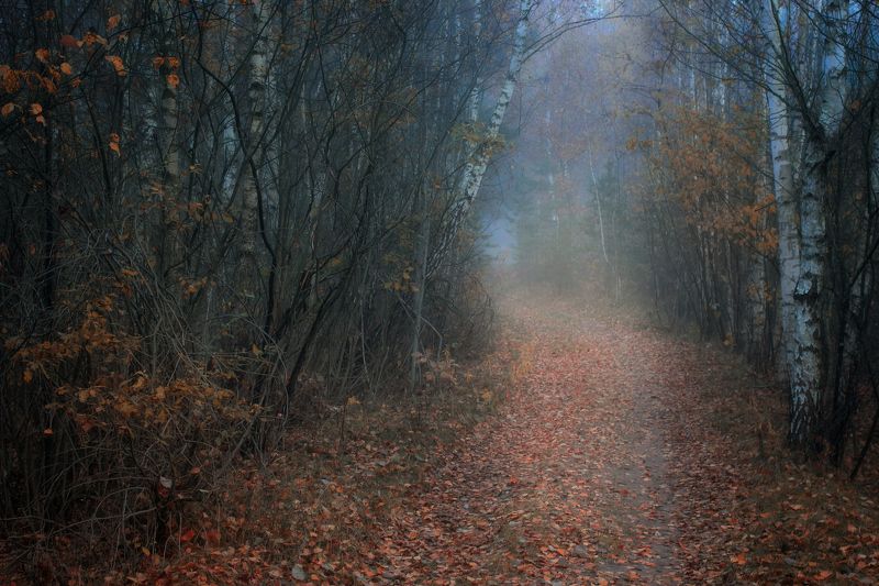 ******** фото превью