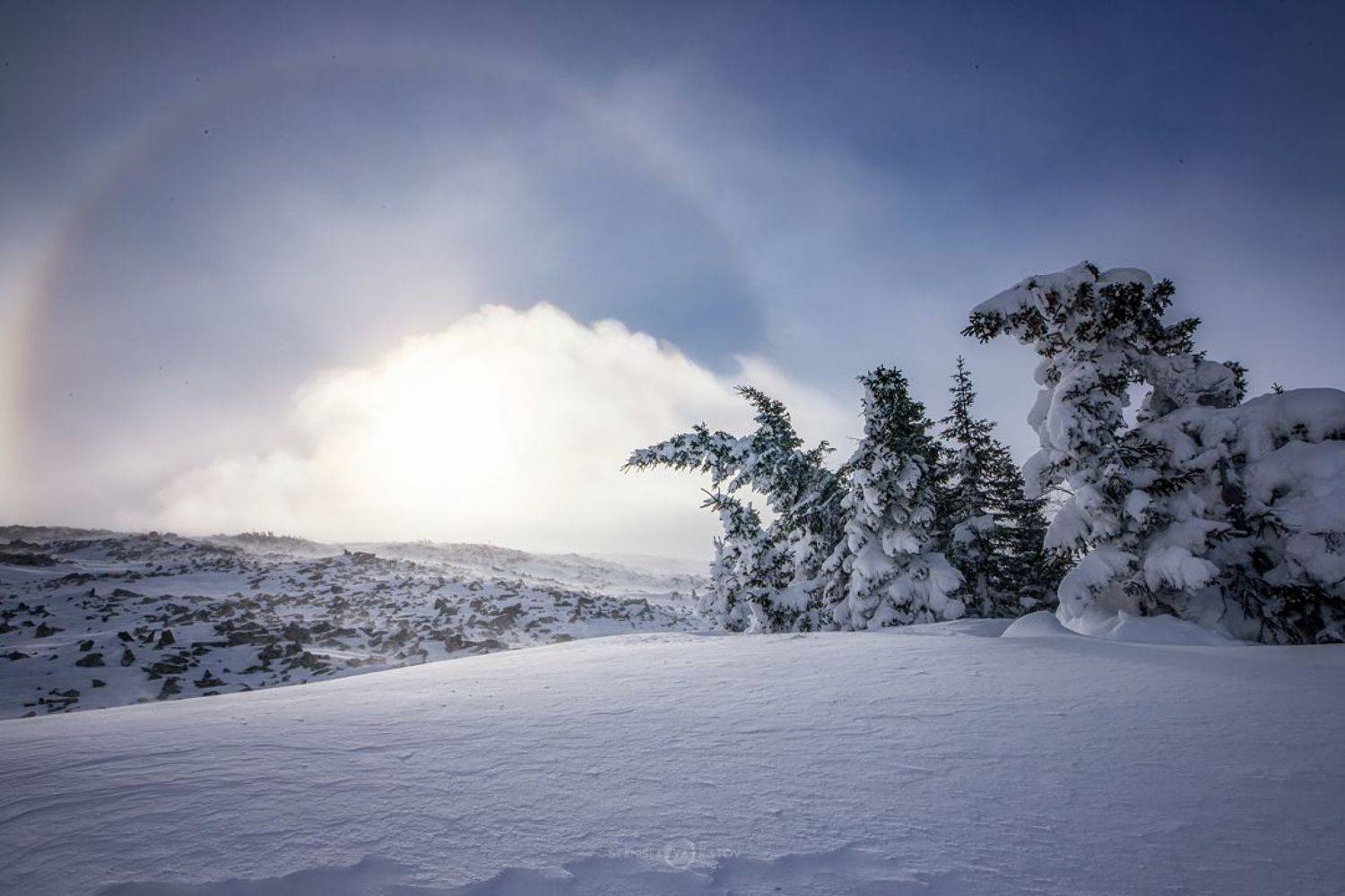 , Станислав Аристов