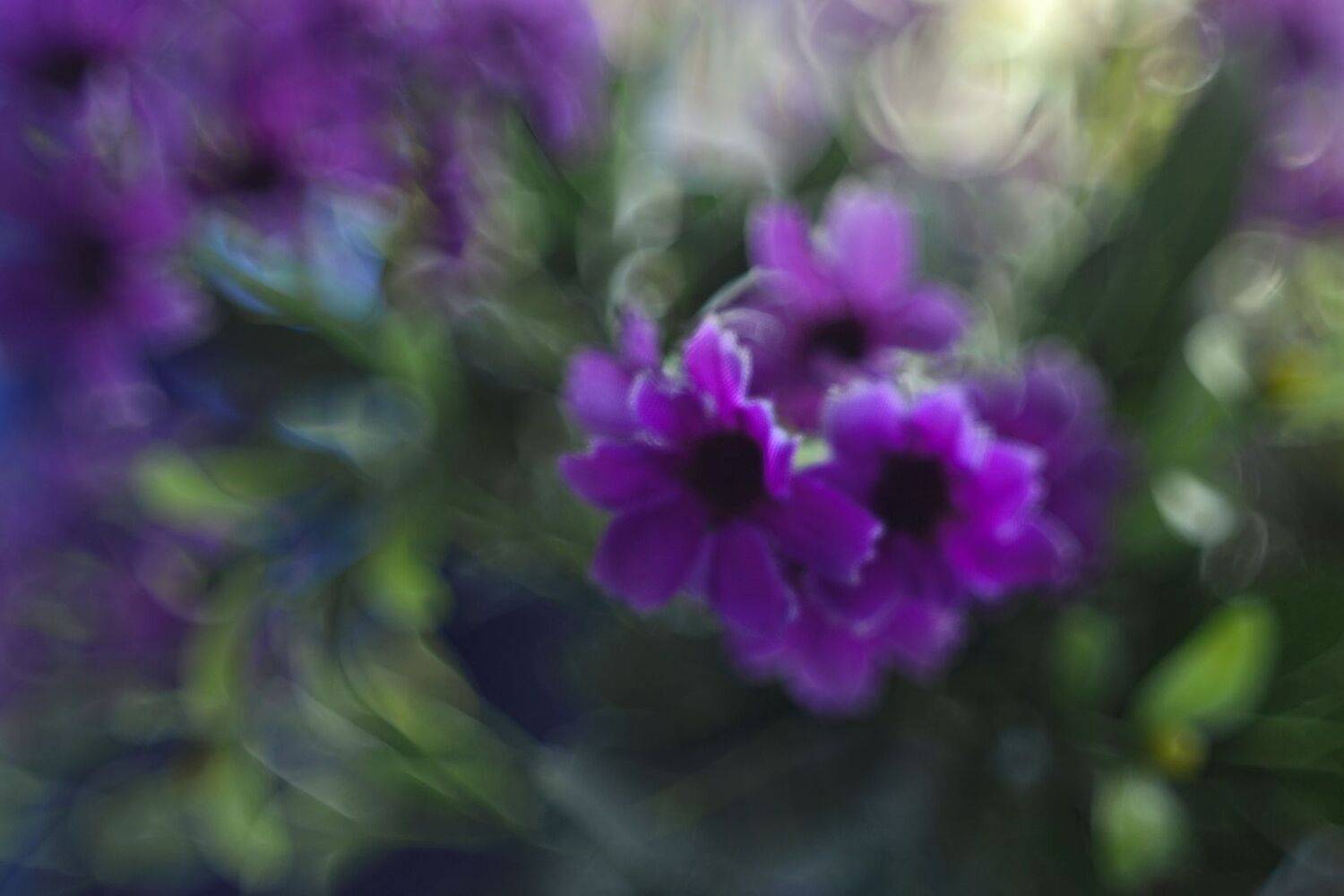 цвет,свет,гелиос, Инаида