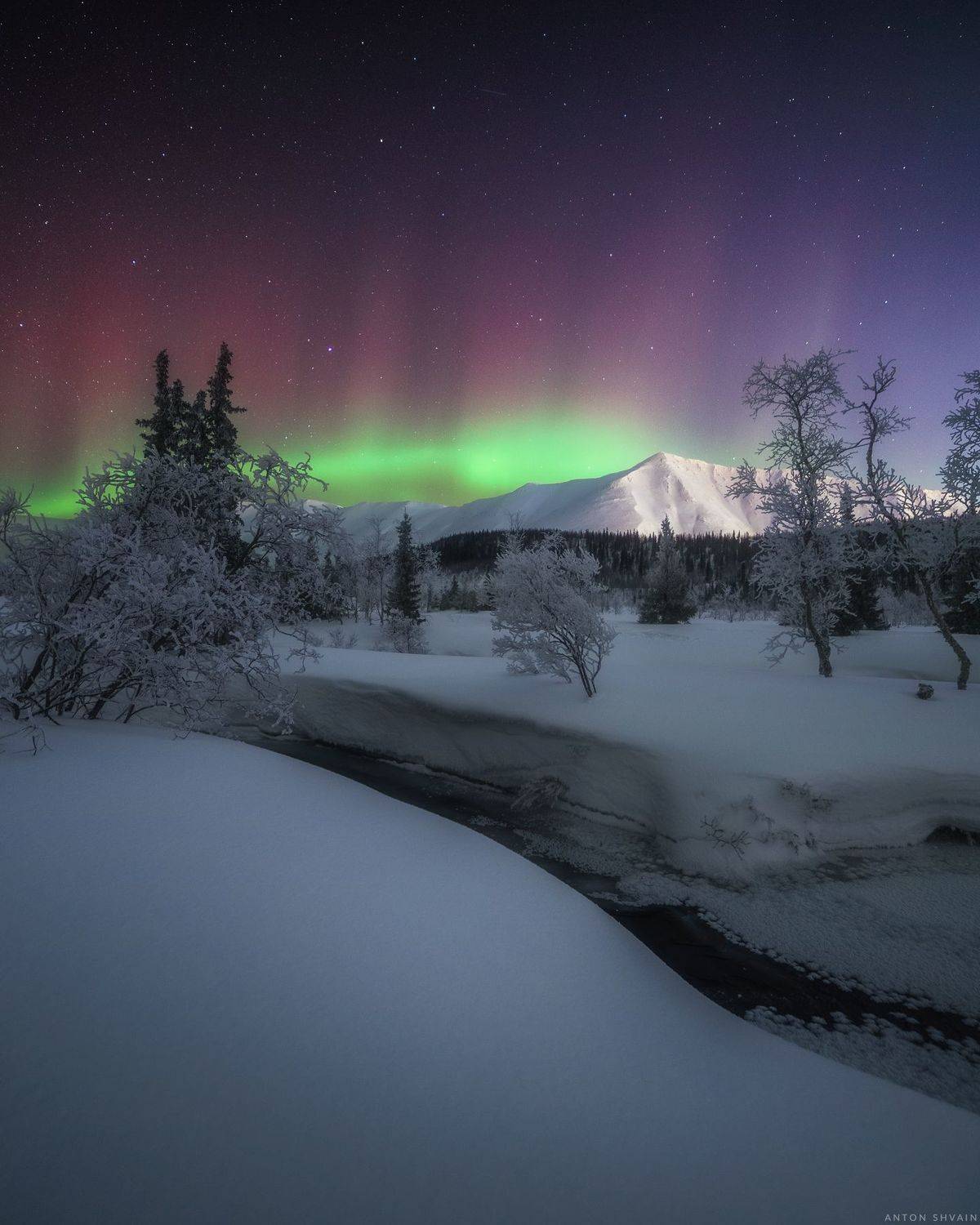 , Антон Шваин