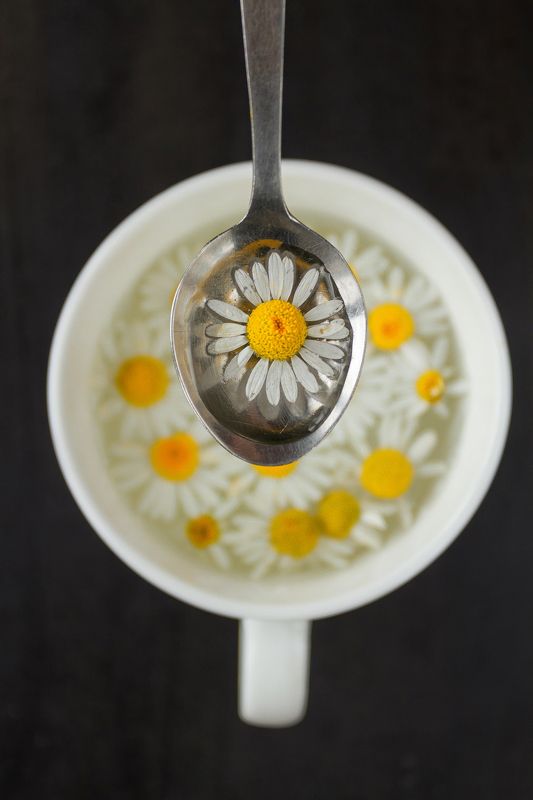 little suns фото превью