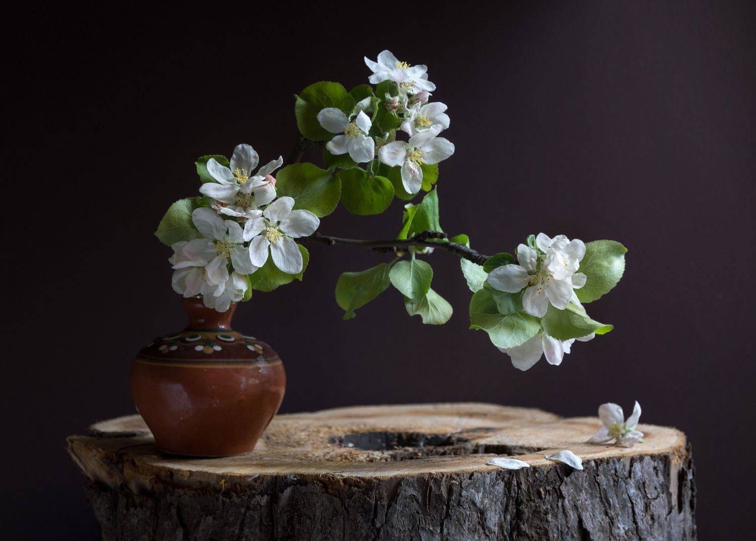 , Колеснева Елена