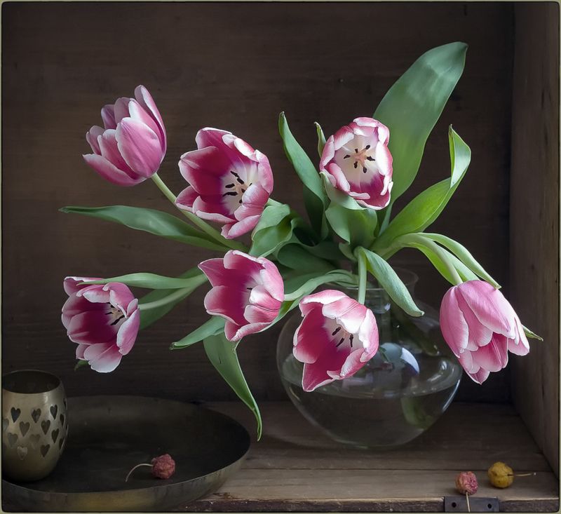 Натюрморт с тюльпанами фото превью