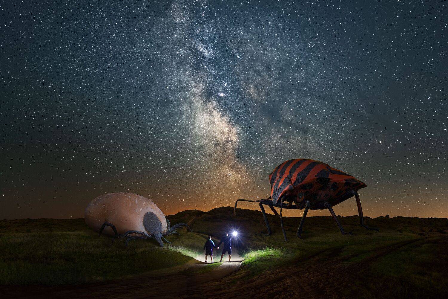 ceclii, Ganev Tsvetan