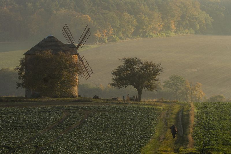 Autumn in Kunkovice фото превью