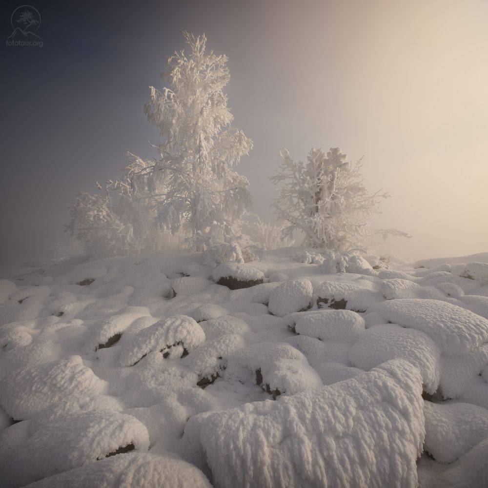 кольский, мурманская, Anatoly Gordienko