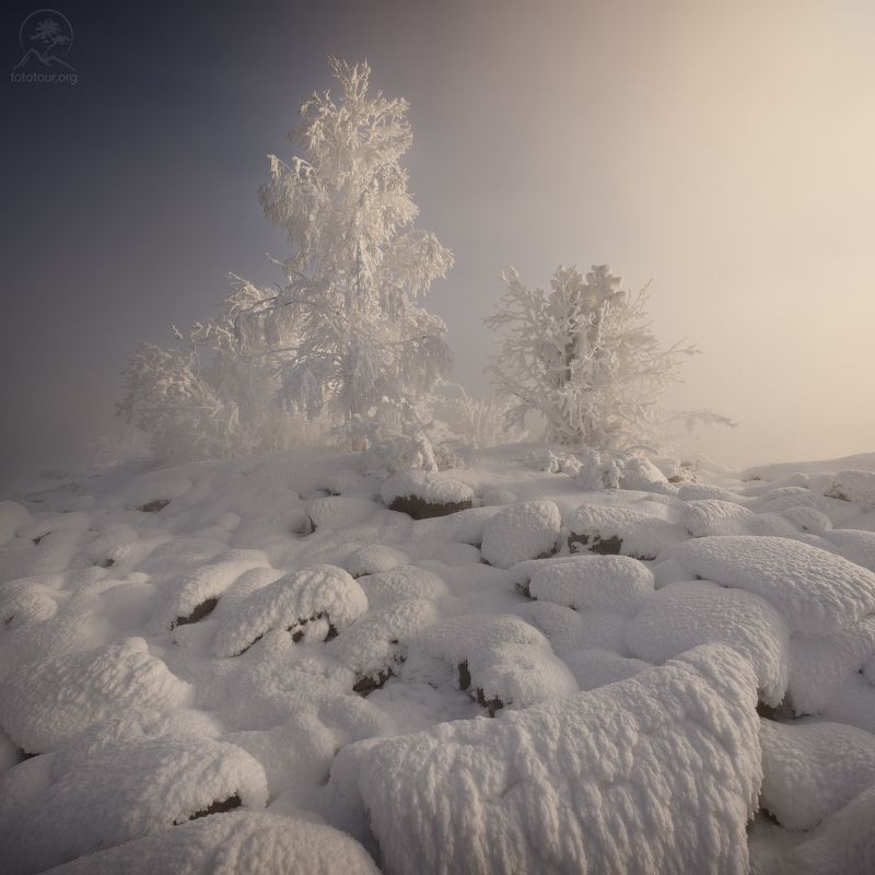 кольский, мурманская Узоры зимы фото превью