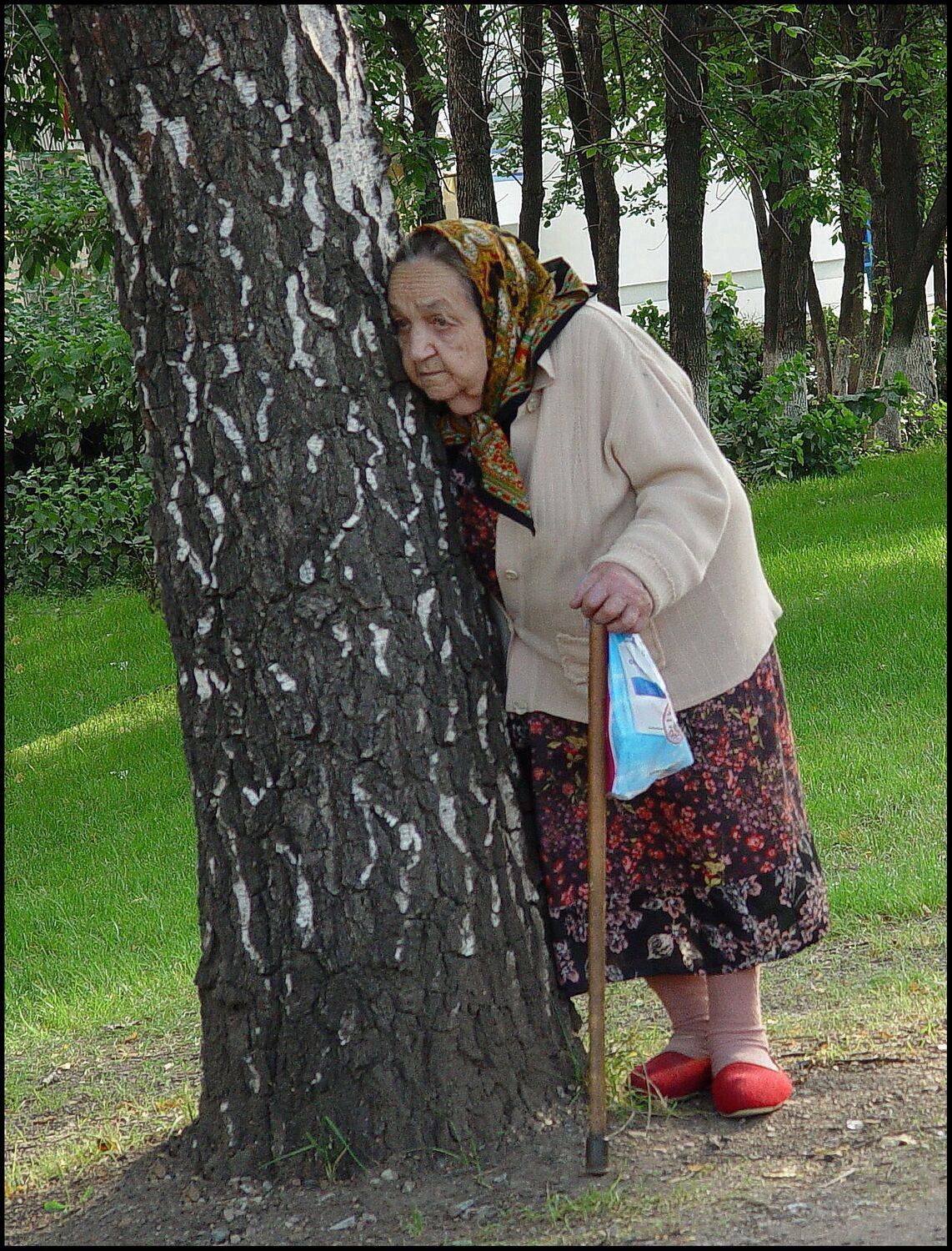 , Меднов Влад