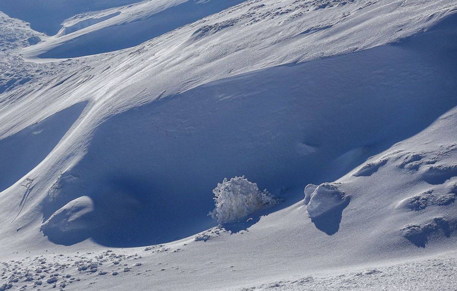 крым, Андрей Гусаченко