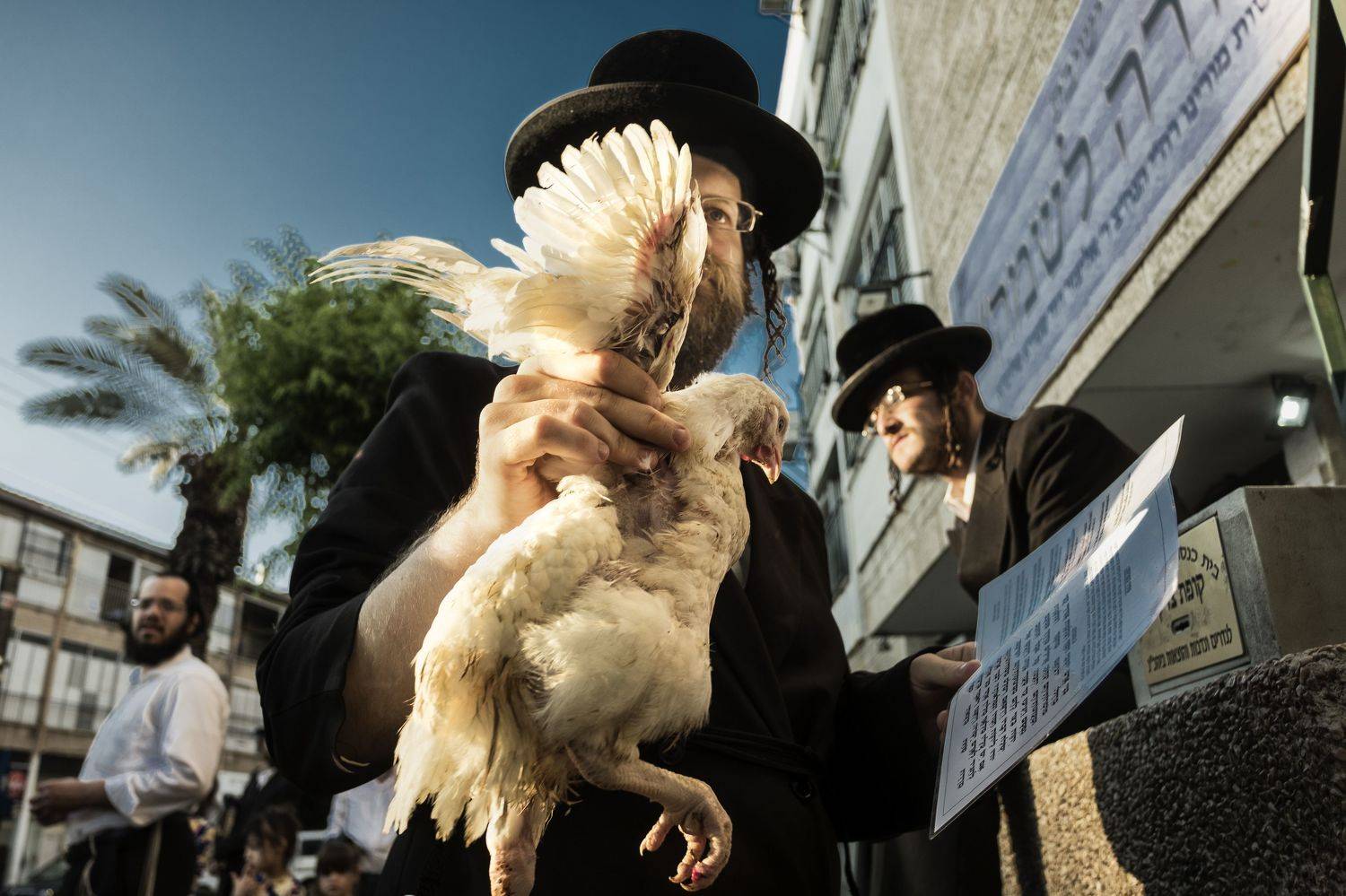 Kapparot, Bnei Brak, Judaism,  tradition, religious,  Tom Kippur, , Orna Naor