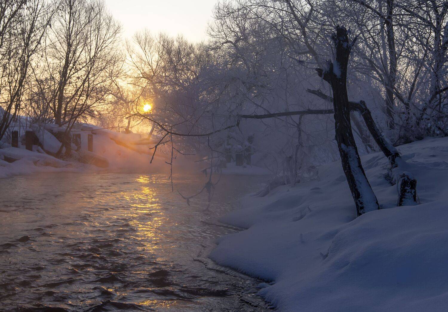 пейзаж, река, мороз, иней, Феденкова Татьяна
