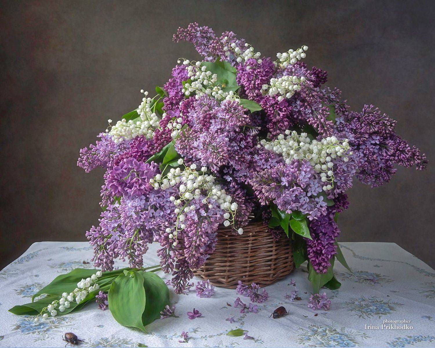 натюрморт, весна, май, цветы, сирень, букеты, ландыши, Приходько Ирина