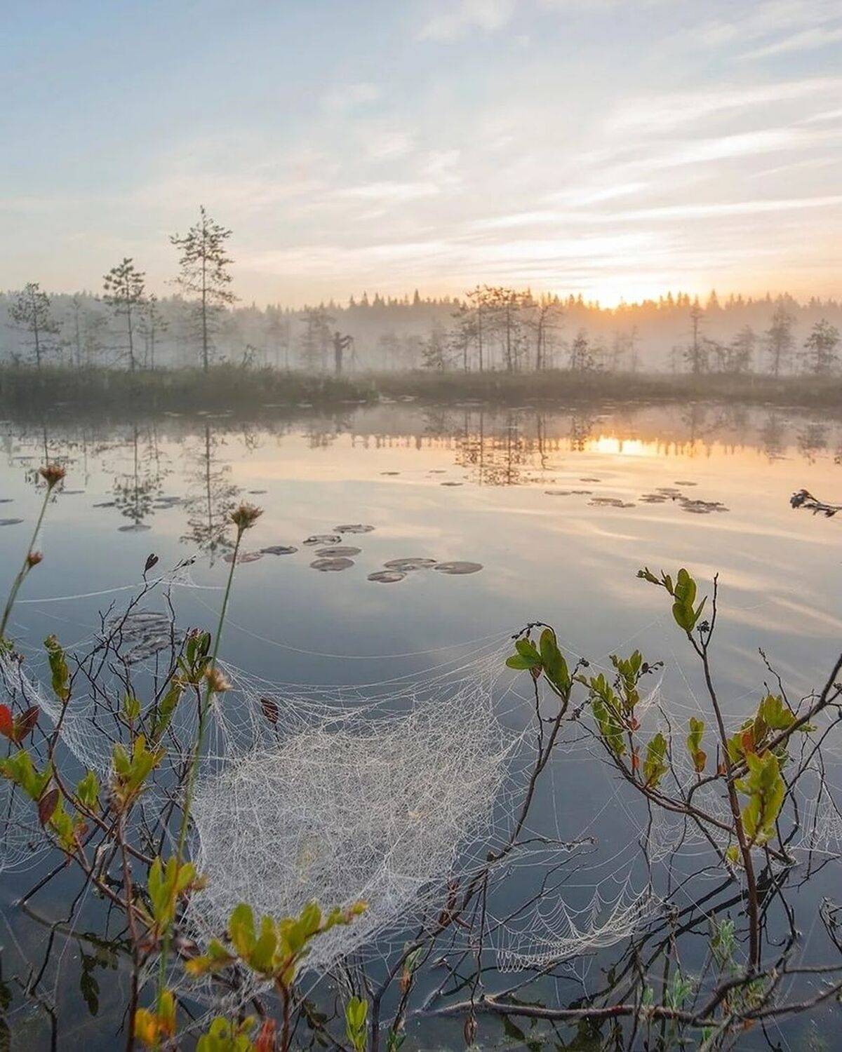 , Петр Косых