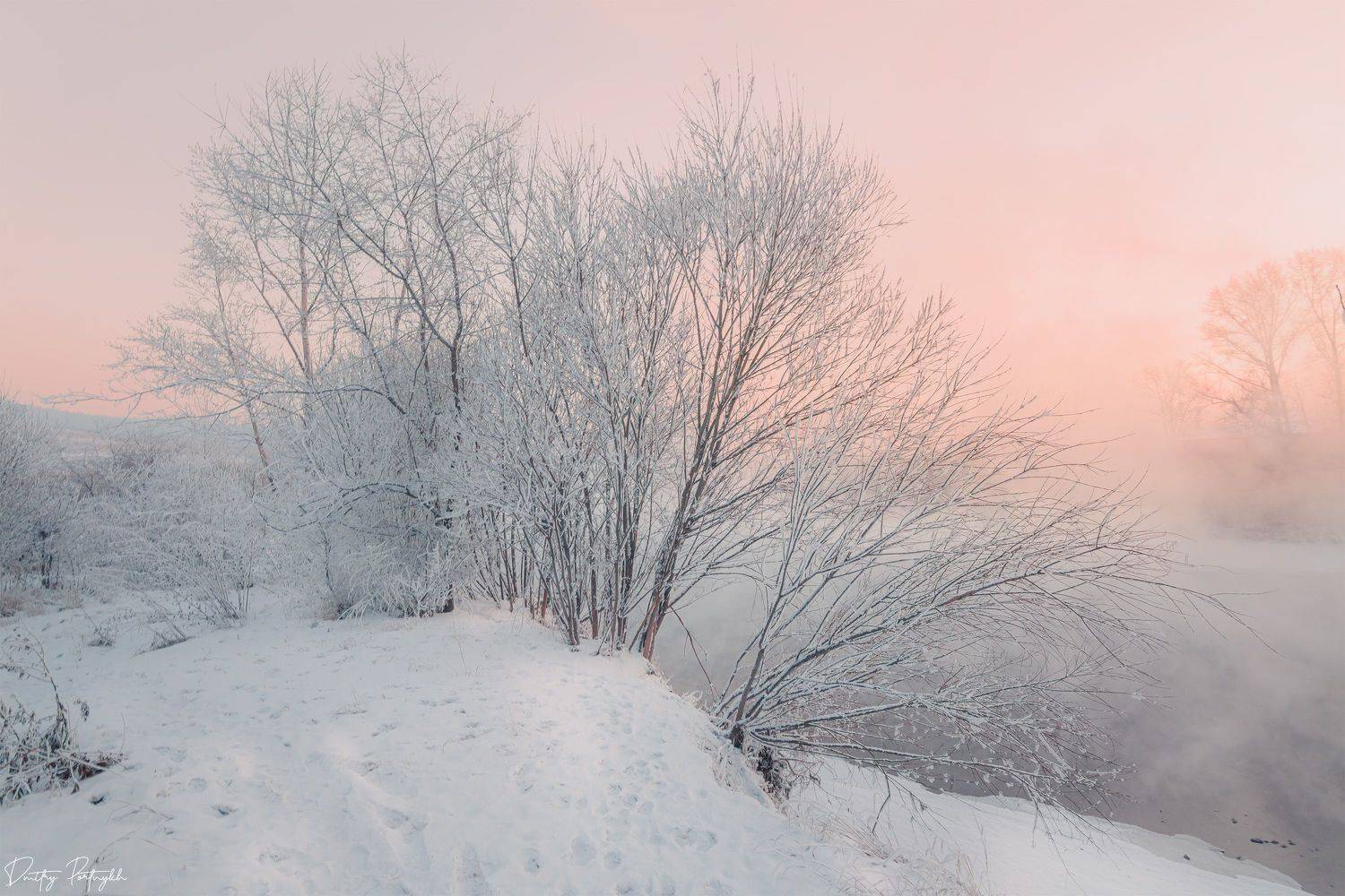 зима, снег, туман, закат, деревья, Чита, забайкальский край, Забайкалье, Портных Дмитрий