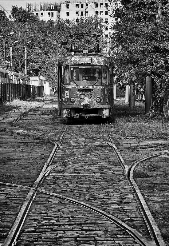 Пенсионер фото превью