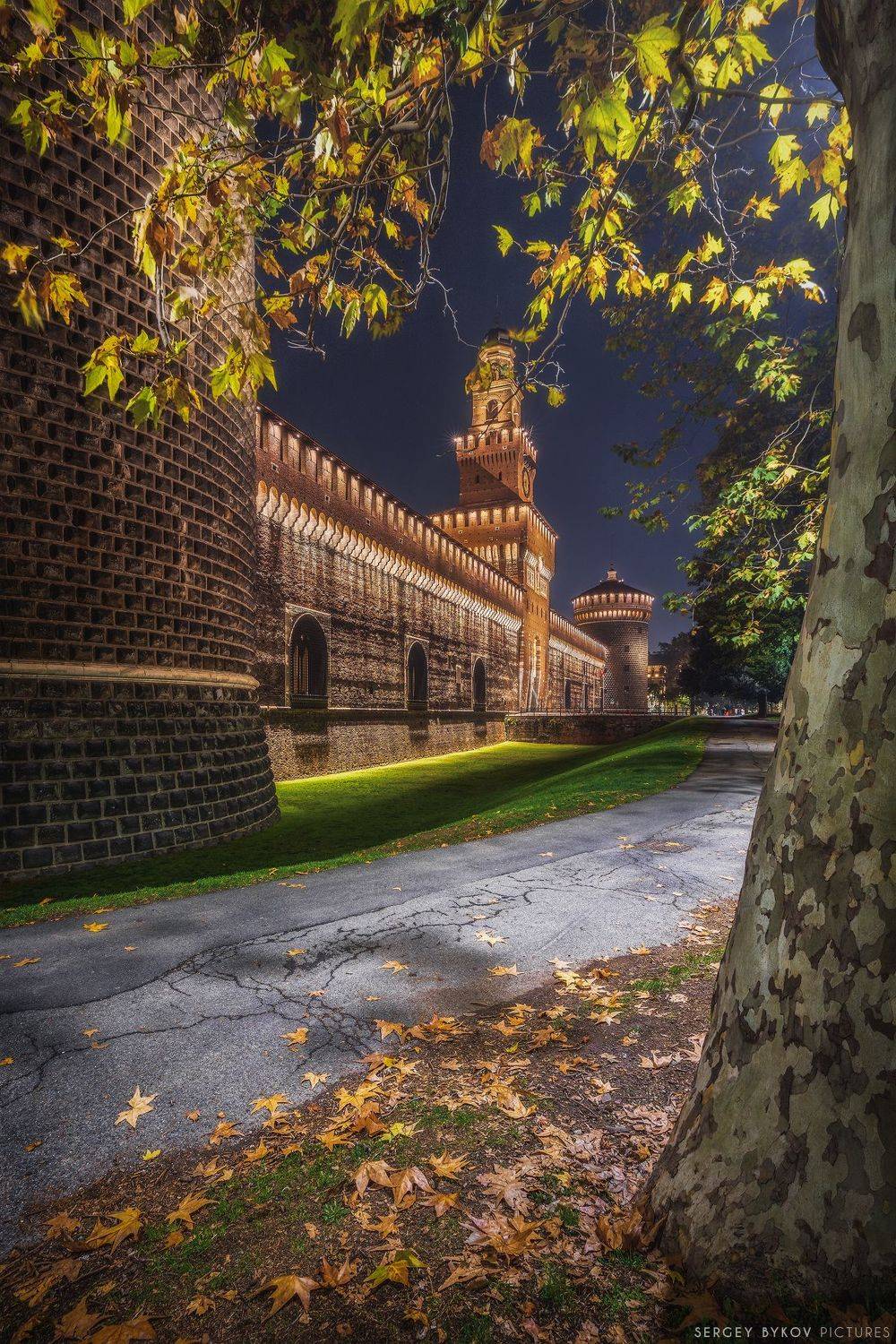 , Быков Сергей