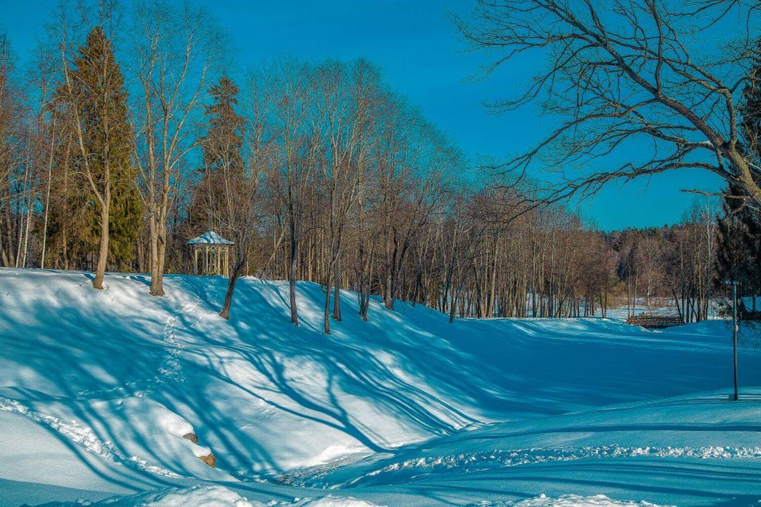 , Ирина Ларина