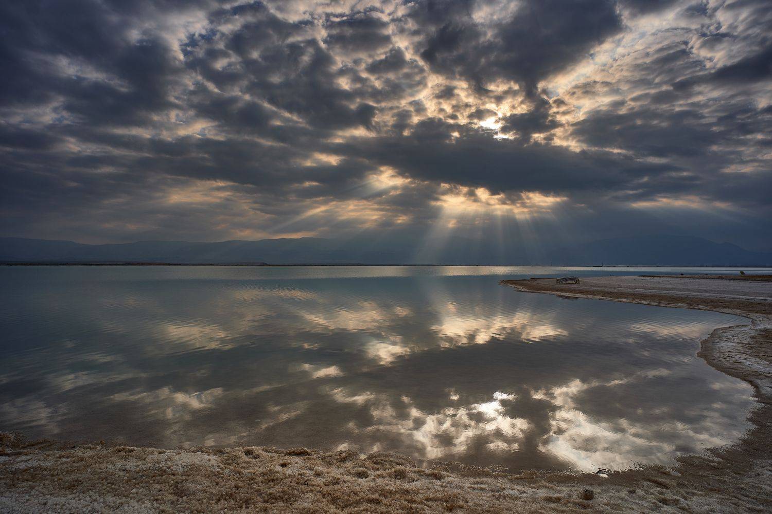 , David Solodar
