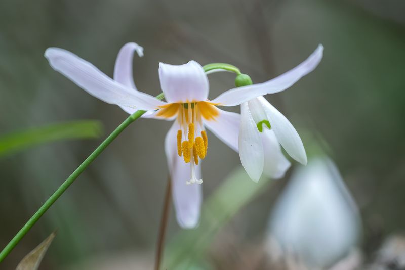 Обнимашки фото превью