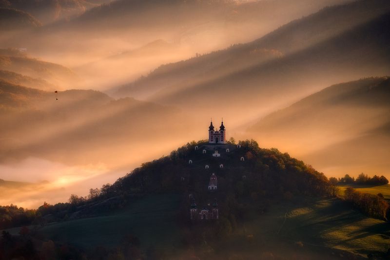 Art of fly фото превью