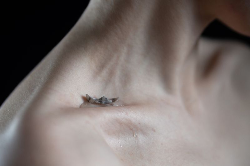 The Boat фото превью