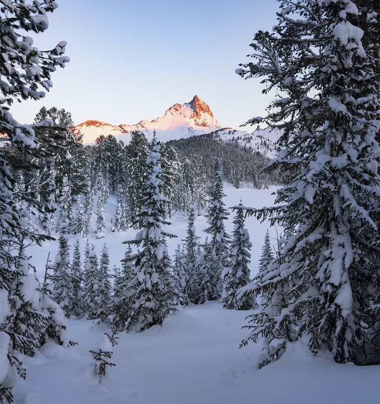 ...Утренняя Птица... фото превью