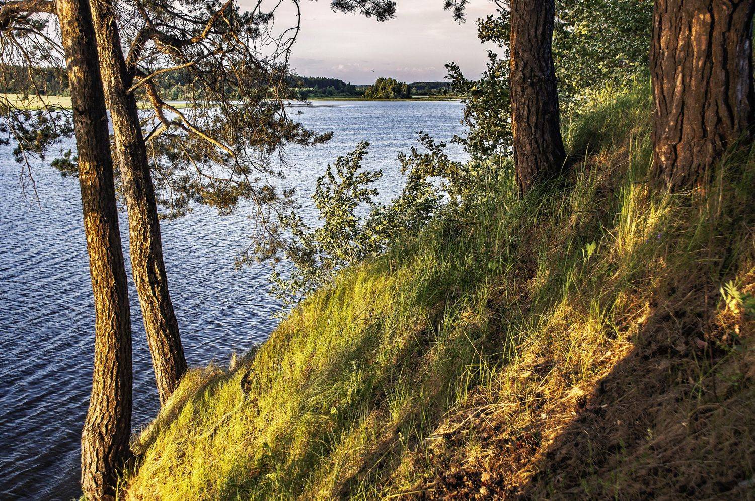 лето., Шитов Александр