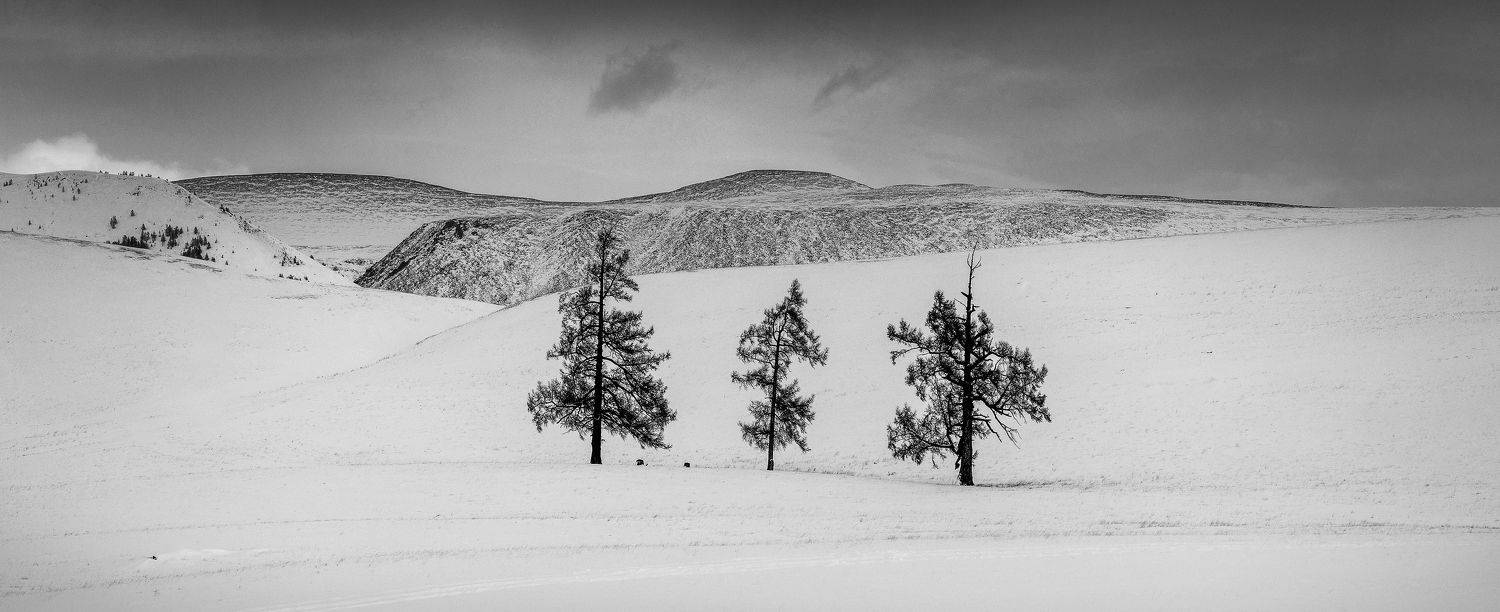 , Андрей Медведев