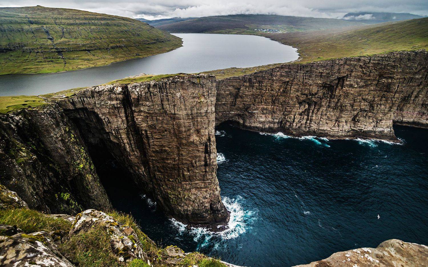 , Алексей Котлов