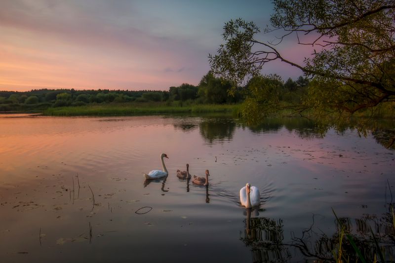 ******** фото превью