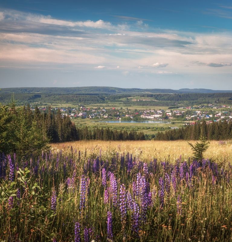 Родные просторы. Часть 3 фото превью
