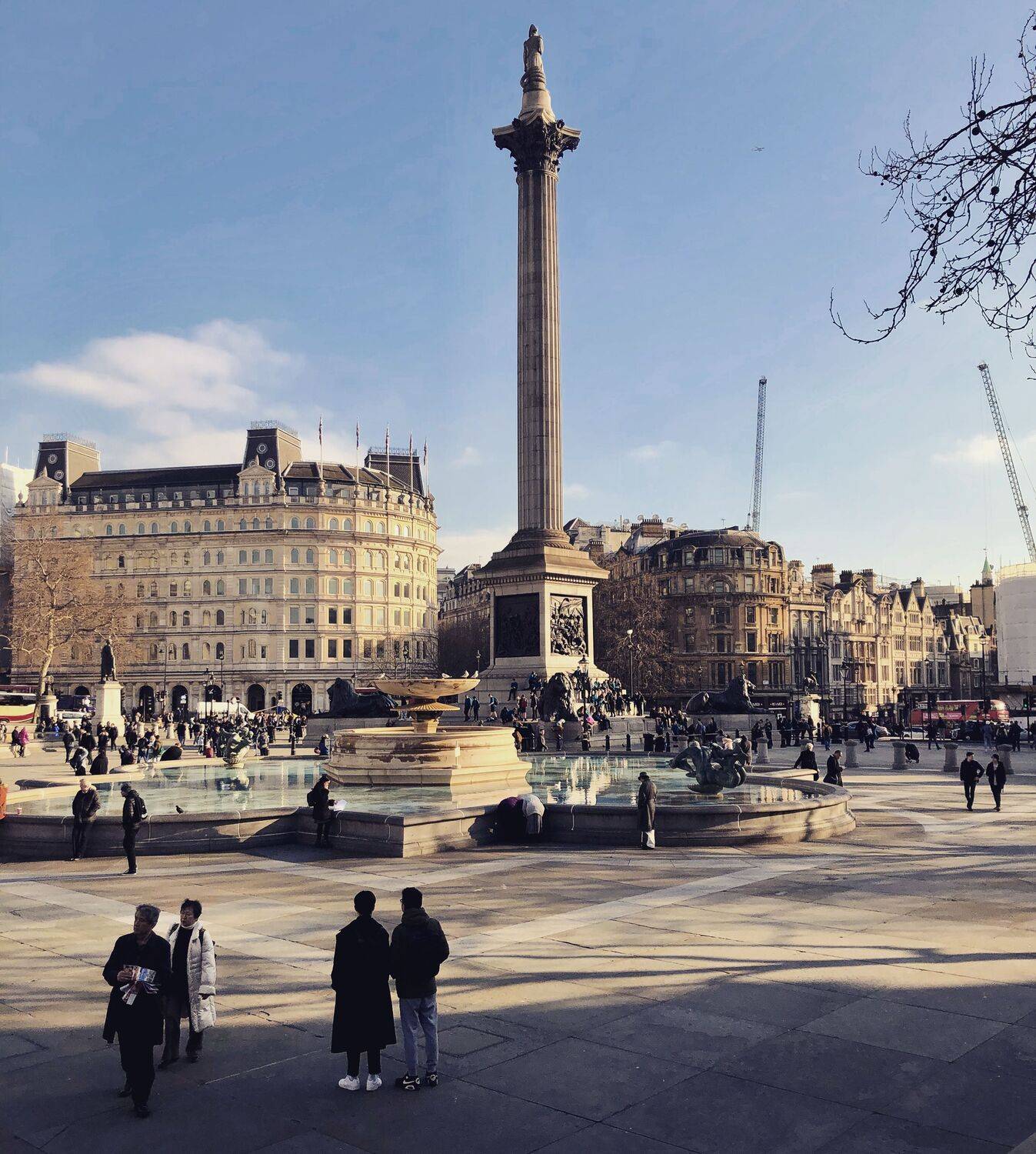 , Бравичева Анастасия