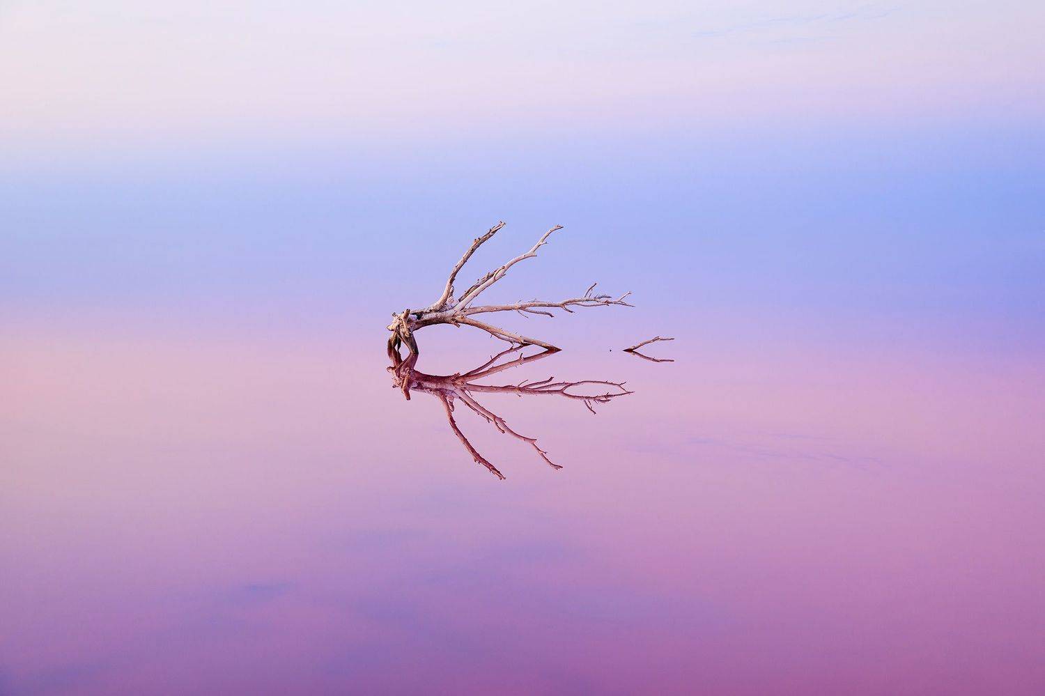 #waterscape #saltlake , Олег Болотников