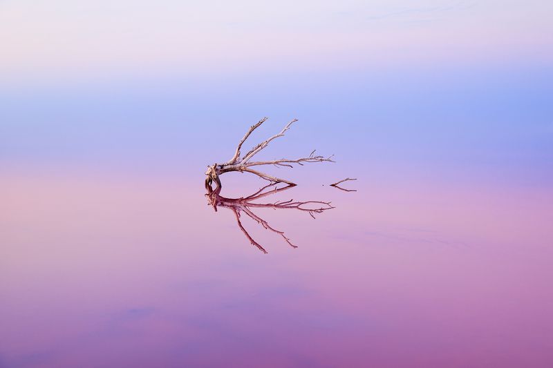 #waterscape #saltlake  Pastel aesthetics фото превью