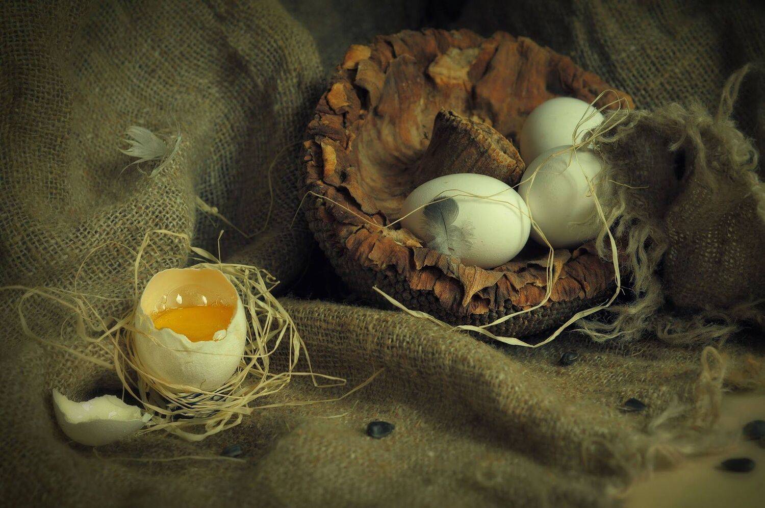 , Ирина Данилова