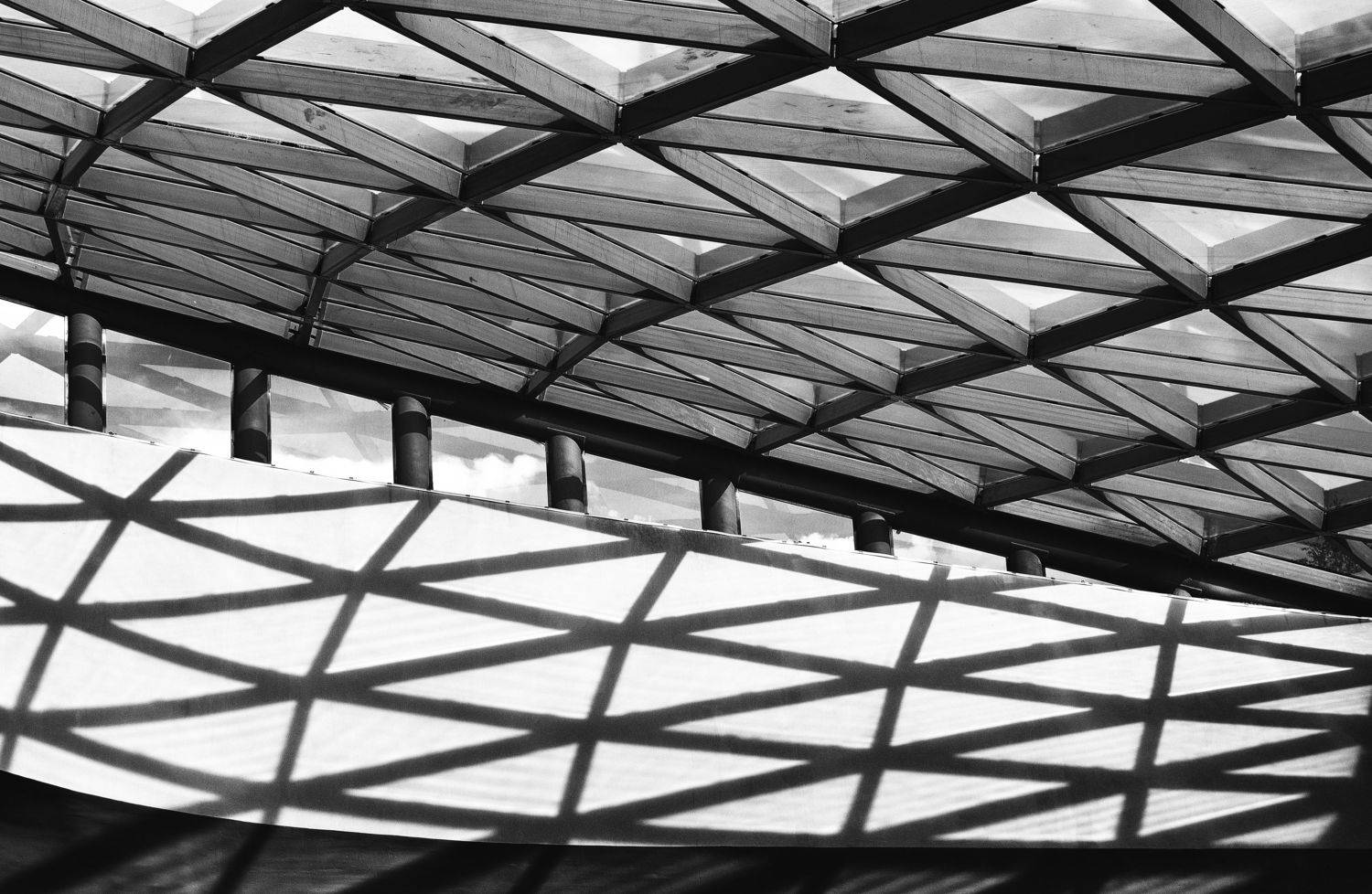 , Евгений Верещагин