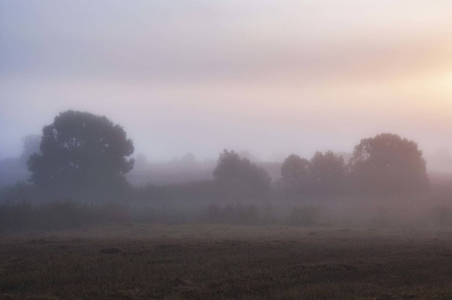 , Павел Ныриков