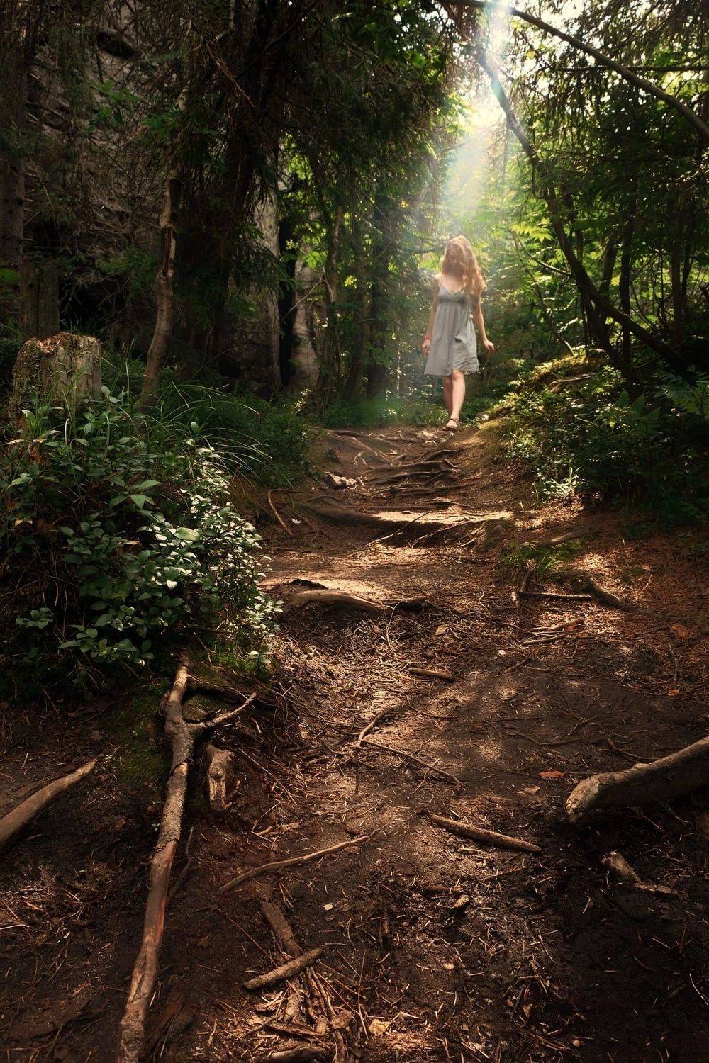 , Родион Рагозин