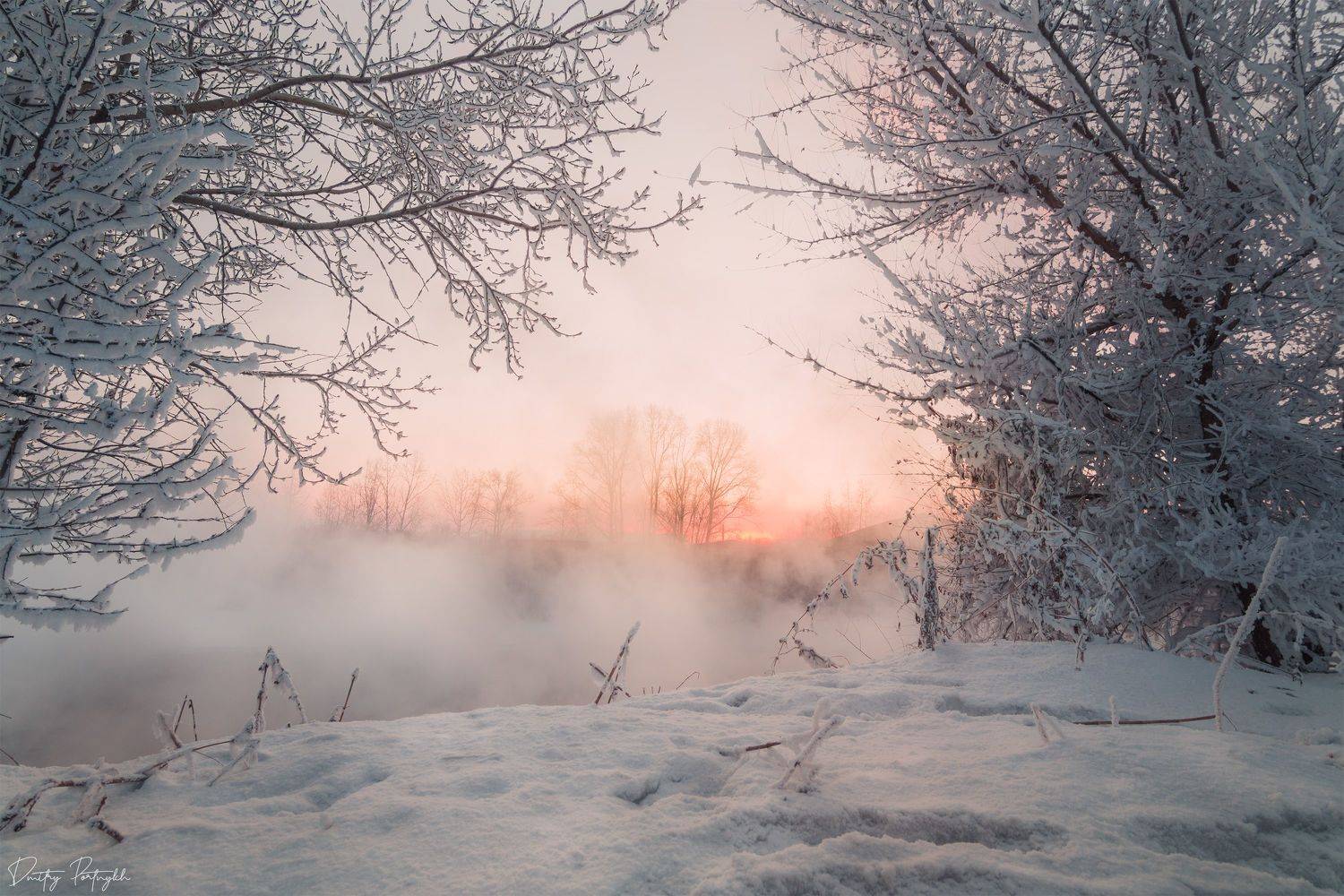 зима, снег, туман, закат, деревья, Чита, забайкальский край, Забайкалье, Портных Дмитрий