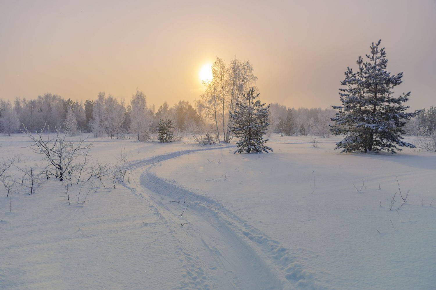 зима., Шитов Александр