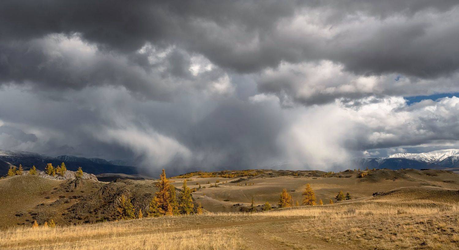 туча, непогода, курайская степь, алтай, Фомина Марина