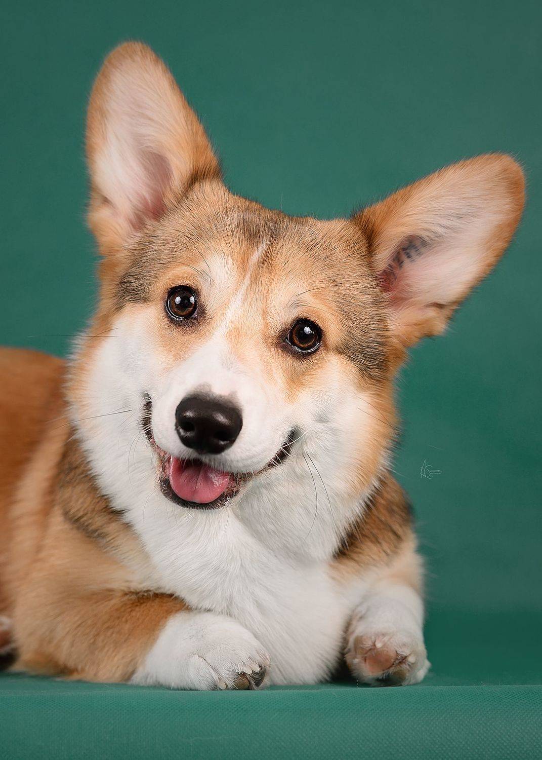 , Коптилина Галина