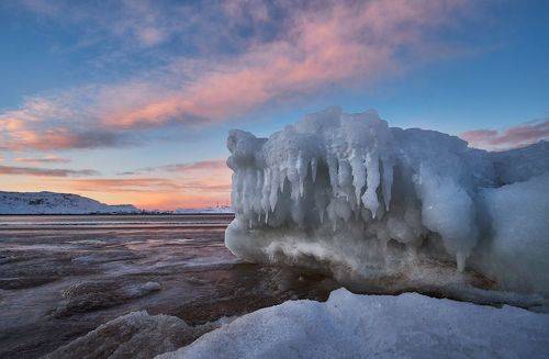 Дракон Баренцева побережья