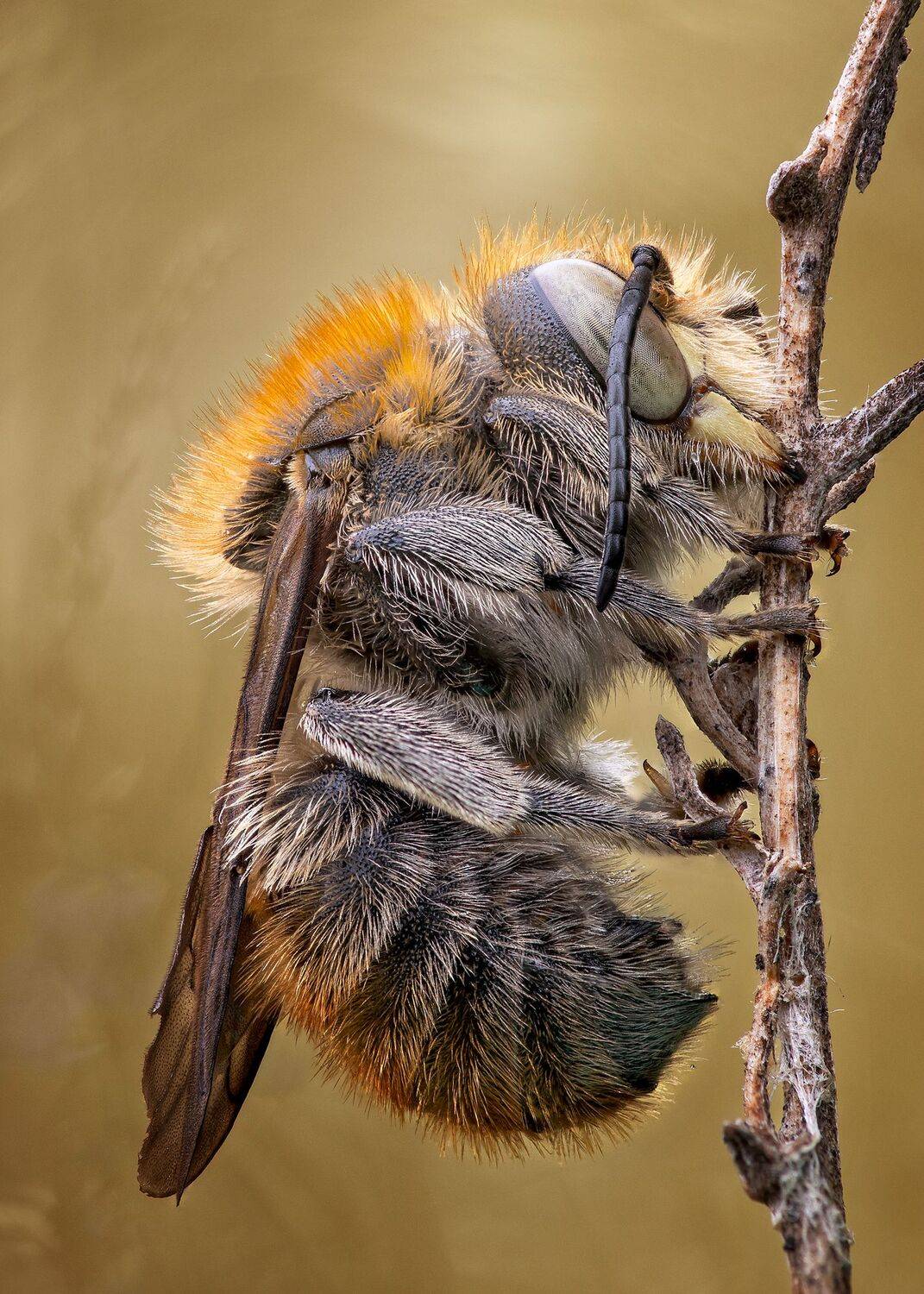 , Кузнецов Дмитрий