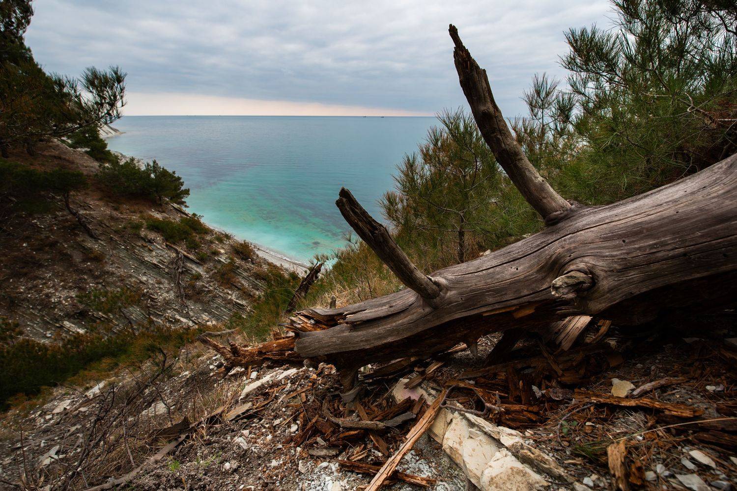 море, весна, горы, лес, деревья, Дмитрий Величко