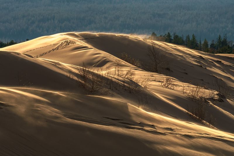 чара, чарские пески, пустыня, пейзаж, песок, бархан, забайкалье, кодар, Формы песка фото превью
