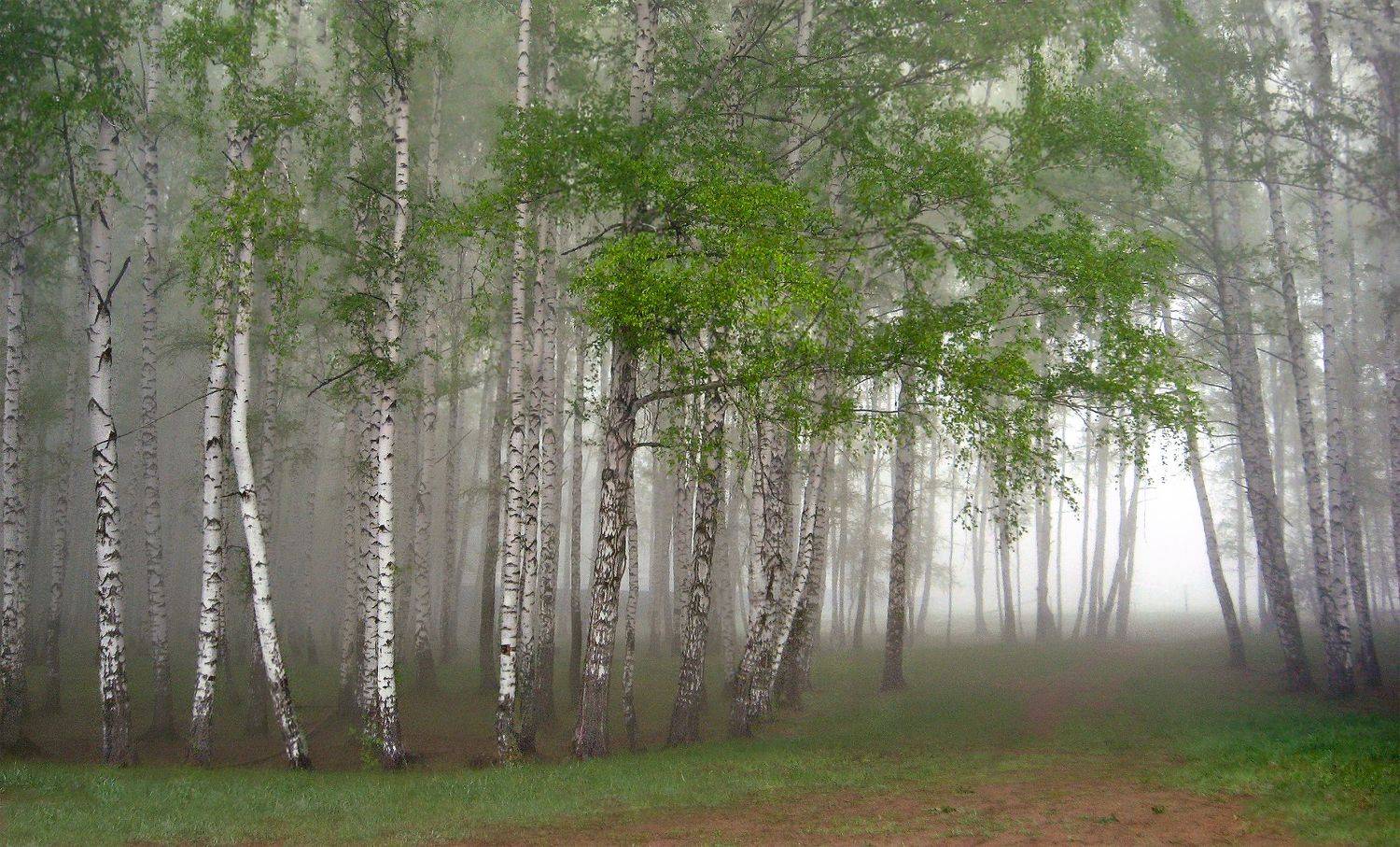 , Ольга Заболотская