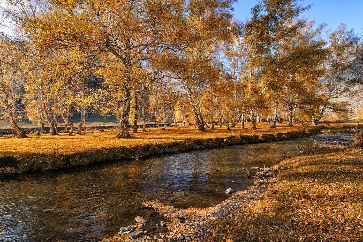 , Лариса Николаевна Дука