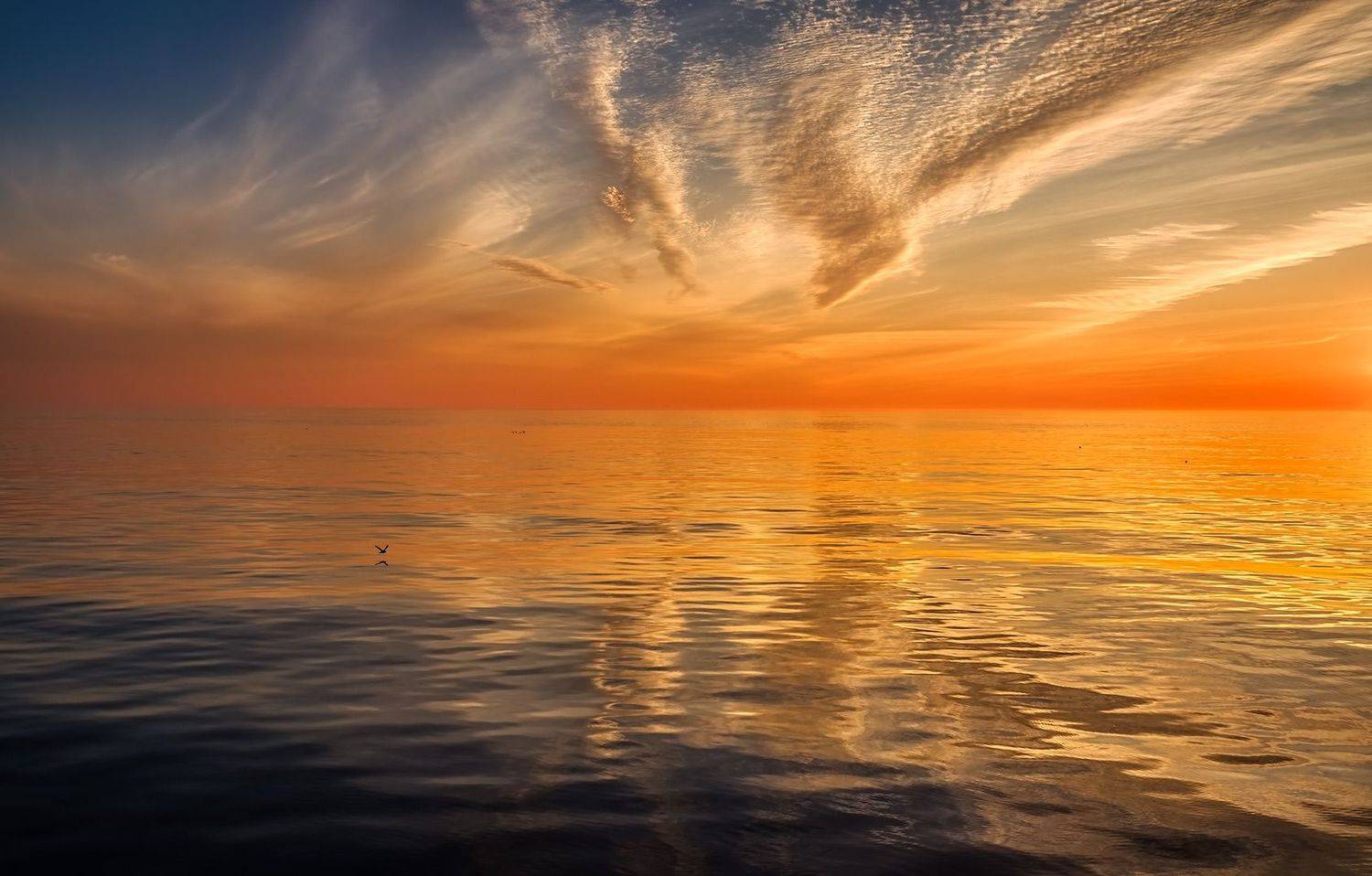 вечер, отражения, охотское море, чайка, летний закат, штиль, Евгений Паршуков