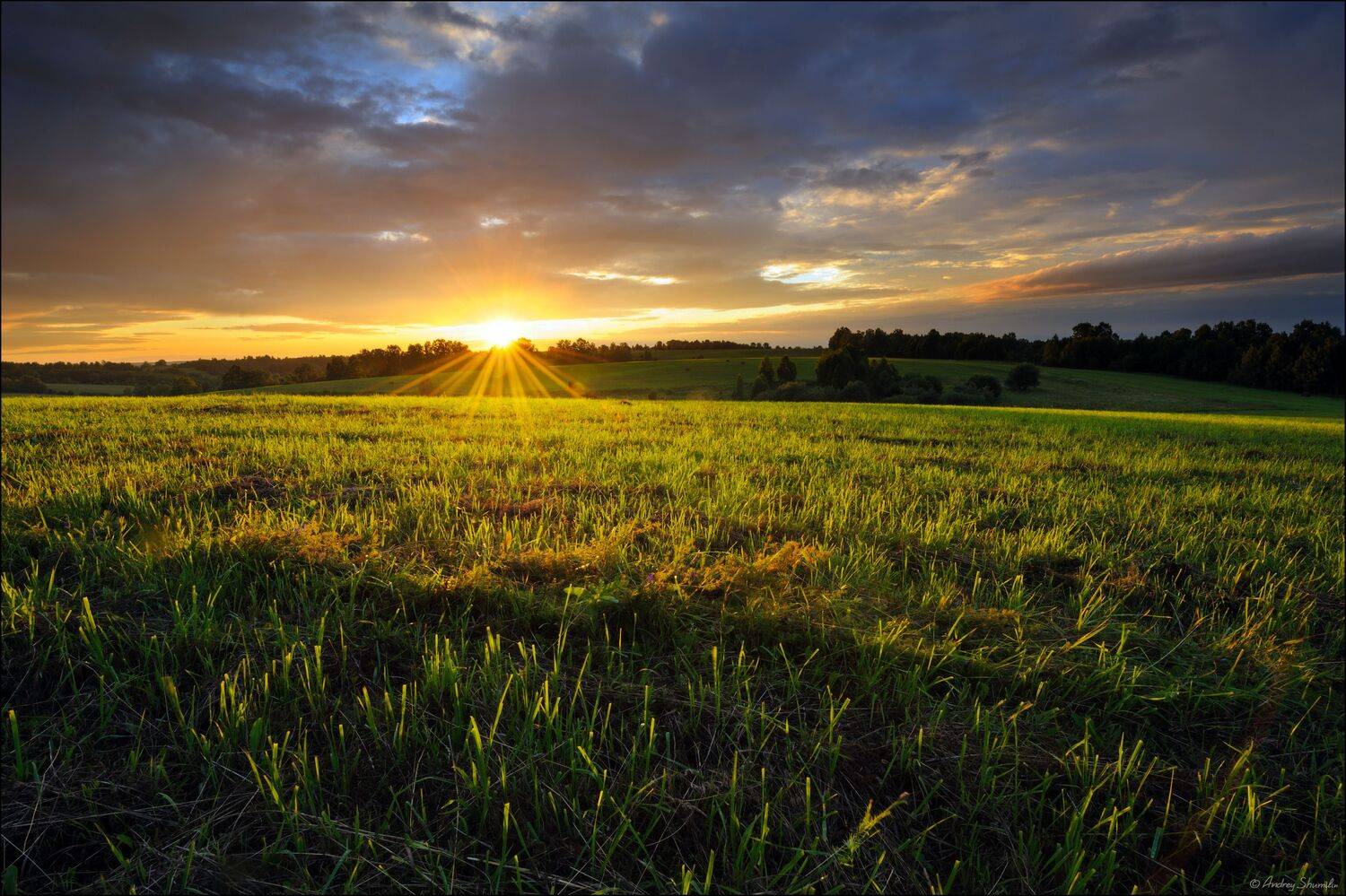 лето, вечер, закат, поле, Андрей Шумилин